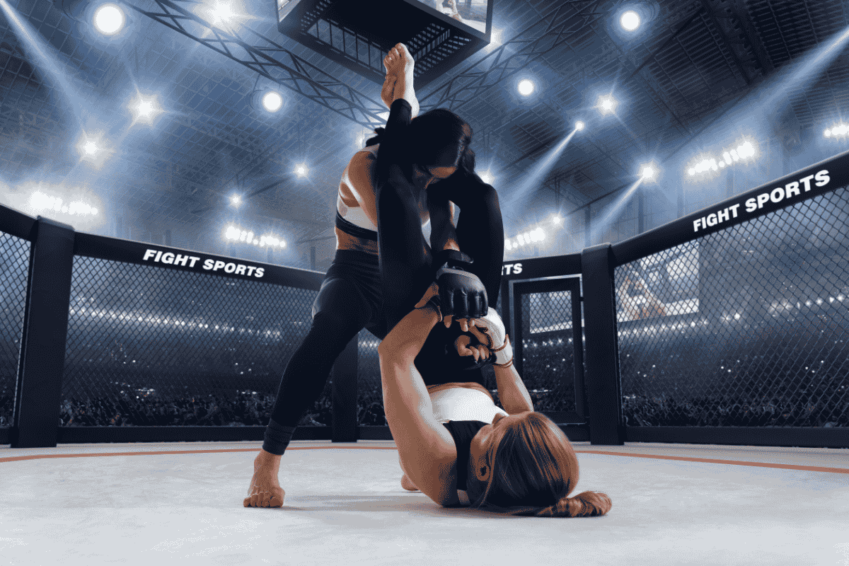 MMA kursu fiyatları, karma dövüş sanatları eğitim programı hakkında bilgi.