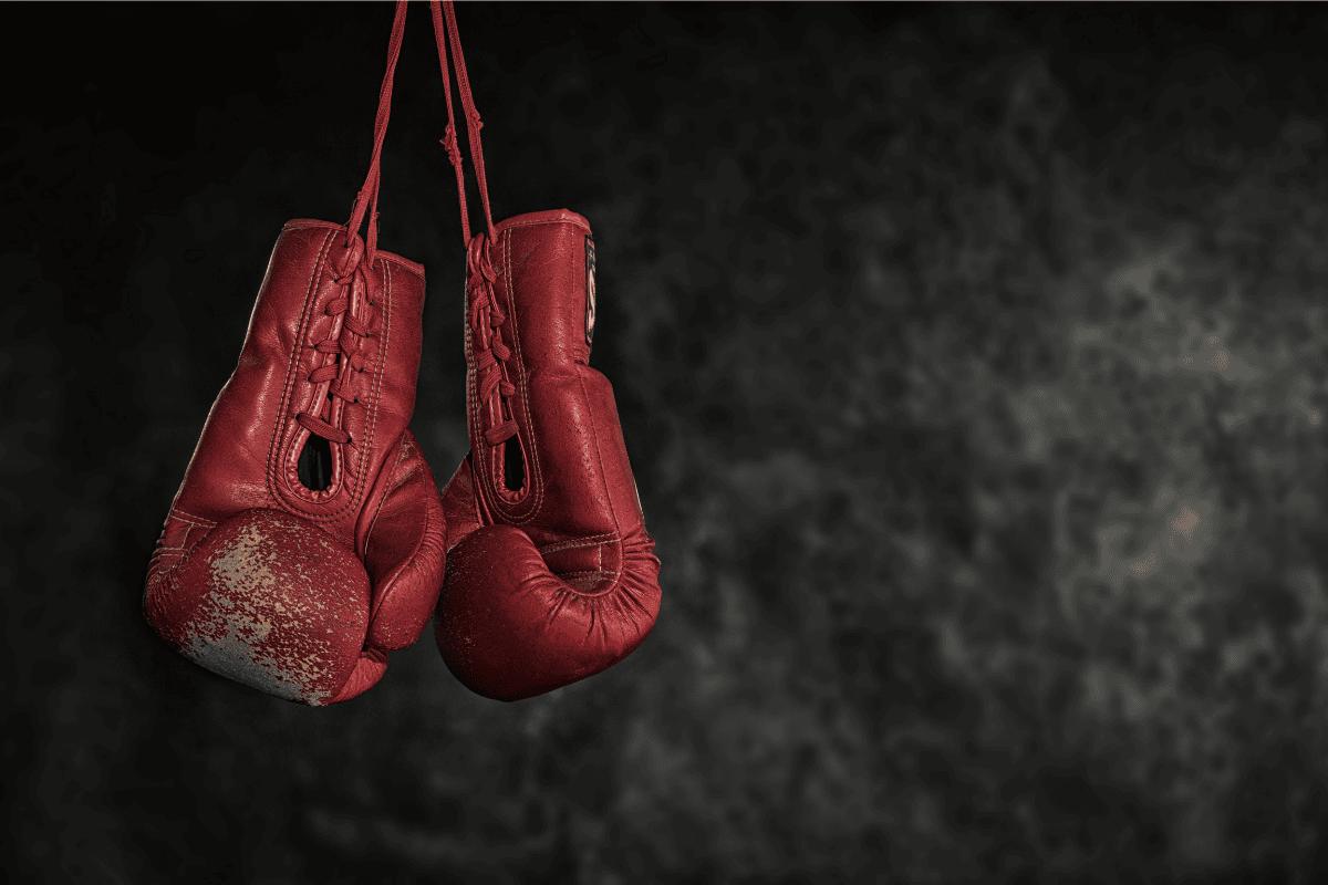 International Martial Arts Training Package